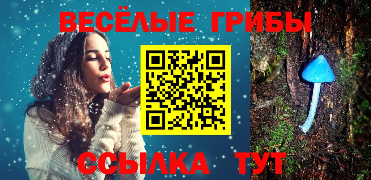 Рубцовск  Псилоцибиновые грибы Psilocybe  Вход с VPN 